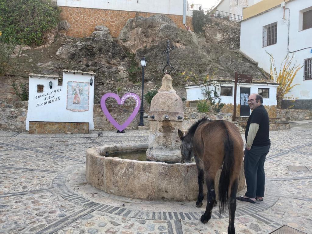 Willa Casa El Higueral Mecina Alfahar Zewnętrze zdjęcie